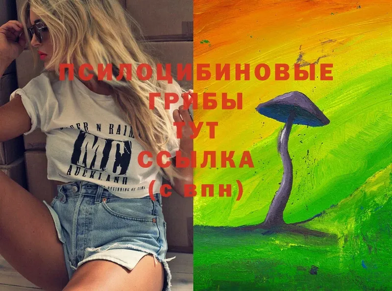 Псилоцибиновые грибы Psilocybe  наркота  Киров 