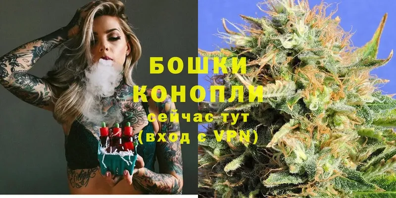 Бошки Шишки THC 21%  darknet клад  Киров 